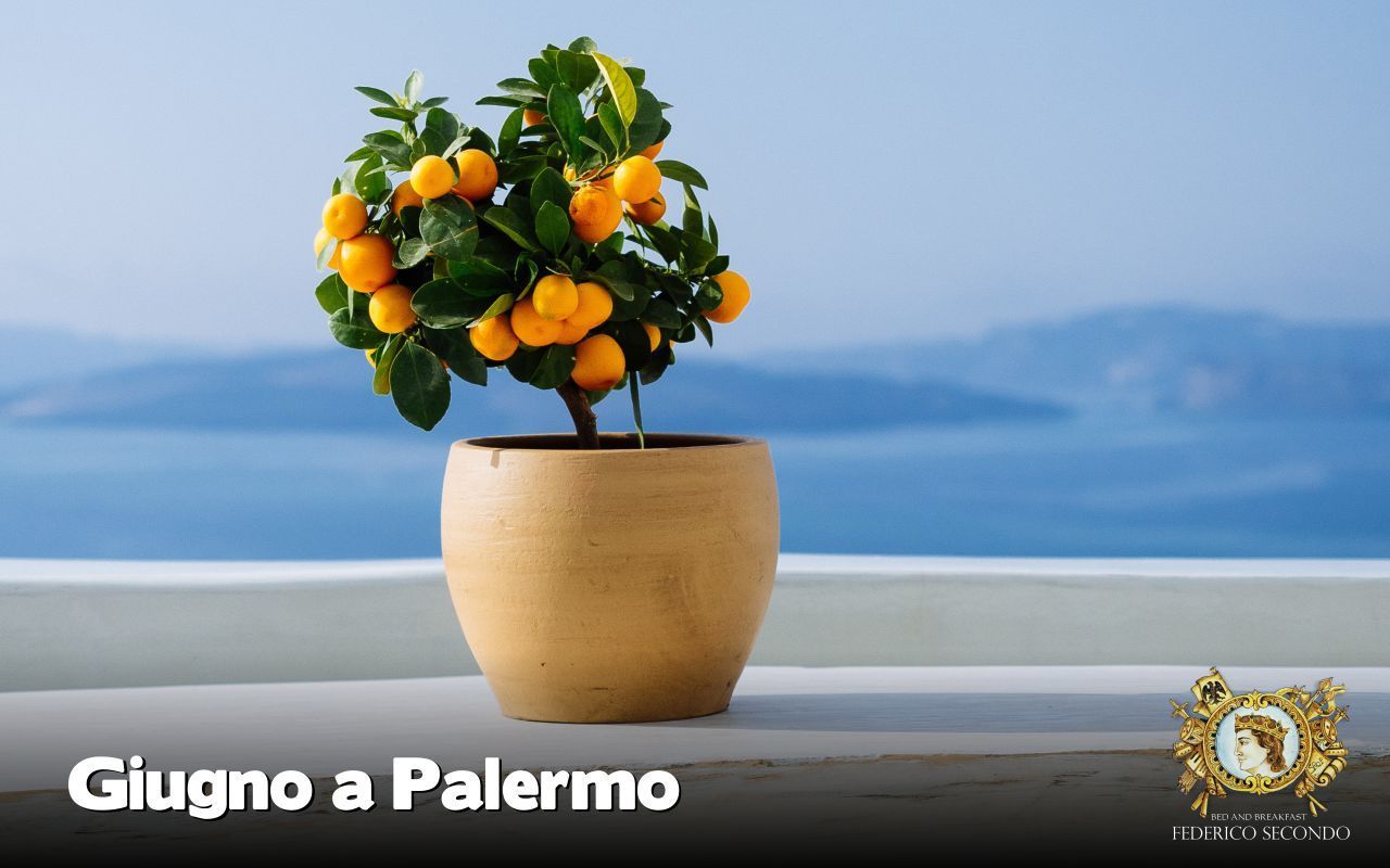 Immagine articolo